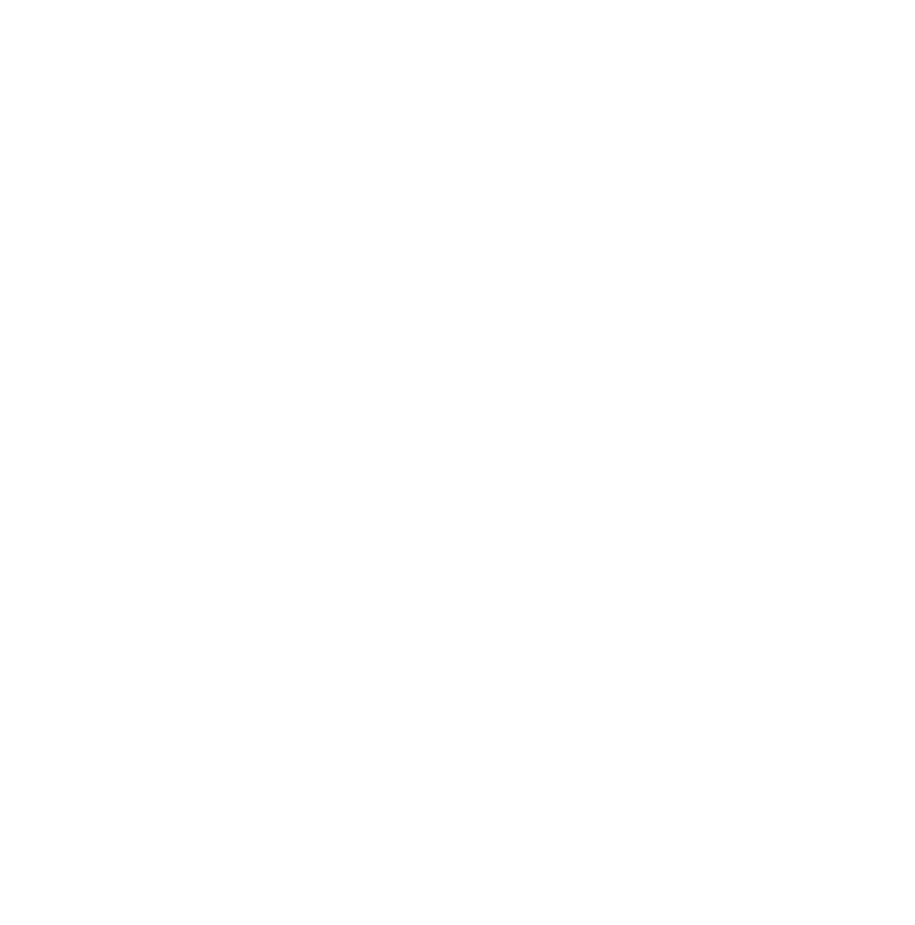 eccolo Food solutions